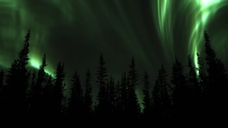Aurora-Borealis-In-The-Night-Sky-With-Stars---low-angle