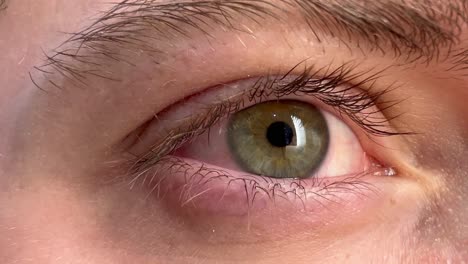 Close-up-of-a-hazel-brown-and-green-eyeball,-bushy-eyelashes-looking-around-a-room-with-a-bright-white-reflective-light-in-the-eye-reflection