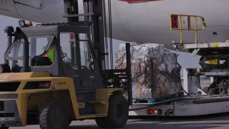 Airplane-loading-cargo-onto-forklift