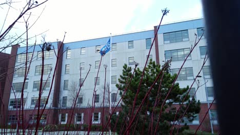 Die-Nhs-Flagge-Weht-Stolz-Vor-Einem-Verschneiten-Krankenhaus-Und-Symbolisiert-Die-Stärke-Und-Widerstandsfähigkeit-Des-Britischen-Gesundheitssystems