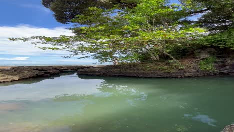 Hermoso-Lago-De-Agua-Salada-En-Limon,-Costa-Rica