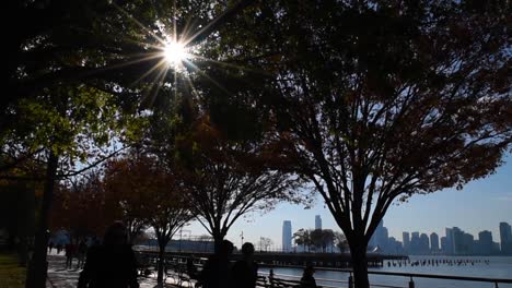 Pan-of-Sun-shining-through-the-trees-as-people-in-silhouette-jog-and-walk-by