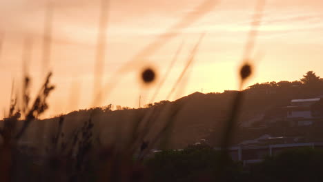 Golden-Sunset-Of-Costal-Township-Hills-With-Native-Grasses,-SLOW-MOTION