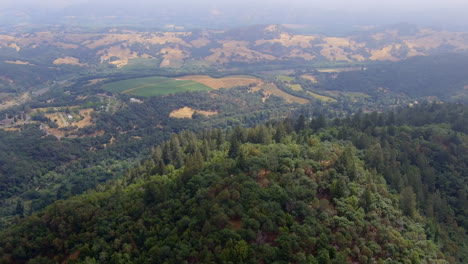 Aerial-view-of-forest-landscape-above-the-valley-near-Healdsburg,-California