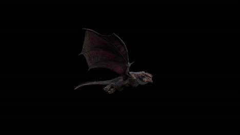 Realistic-dragon-flies-next-to-camera-on-black-background