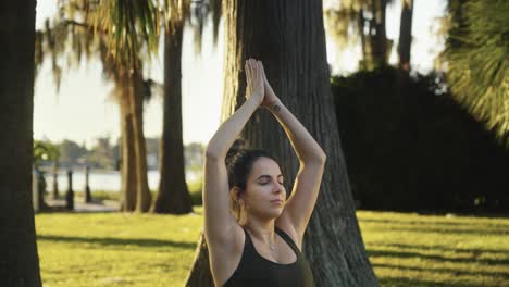 Beautiful-young-adult-waking-up-for-an-early-morning-outdoor-yoga-and-meditation-session