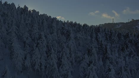 Aerial---Reveal-of-sun-behind-a-snowy-forest---Shot-on-DJI-Inspire-2-X7-RAW