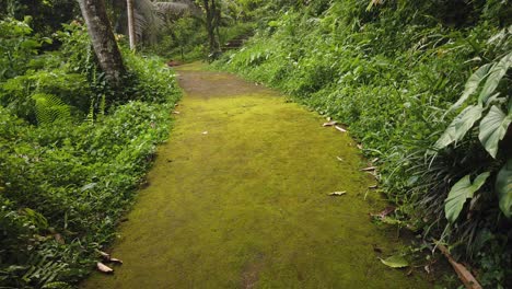 Green-Path-in-the-Bali-Jungle-Forest,-Moss-on-Walkway-Through-Native-Vegetation,-Balinese-Goa-Garba-Temple,-Indonesia,-Southeast-Asian-Flora