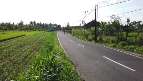 Calle-En-Los-Campos-De-Arroz-De-Blahbatuh,-Gianyar,-Bali,-Indonesia,-Paisaje-De-Pueblo-Verde-Con-Pocas-Scooters,-Tranquilidad-Diaria-En-El-Estilo-De-Vida-De-Los-Granjeros,-60-Fps,-Toma-De-Establecimiento