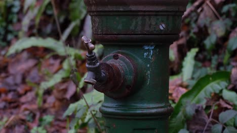 Close-up-of-old-water-tap-dripping-in-rural-English-countryside-woodland-garden-park-during-Autumn-Winter-season