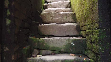 Ancient-Stone-Stairs-with-Moss-at-Goa-Garba-Ancient-Temple-Ruins,-Bali,-Indonesia,-Narrow-Path-through-Balinese-Jungle-in-Tampaksiring,-Gianyar