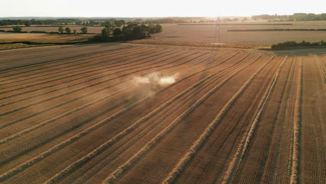 Establishing-Drone-Shot-of-Claas-Combine-Harvester-Harvesting-into-the-Dust-at-Stunning-Golden-Hour-Sunset-UK