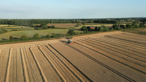 Establishing-Drone-Shot-of-Claas-Combine-Harvester-Harvesting-Wheat-with-Tractor-and-Trailer-at-Golden-Hour-UK