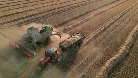 Drone-Shot-of-Claas-Combine-Harvester-Filling-Tractor-Trailer-with-Grain-till-Full-then-Driving-Off-at-Golden-Hour-Sunset-UK