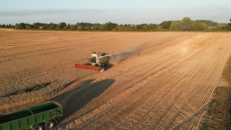 Drone-Shot-of-Claas-Combine-Harvester-with-Arm-Out-and-Tractor-with-Green-Trailer-at-Golden-Hour-UK