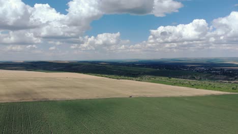 Scenic-Wheat-Field-And-Cloudy-Blue-Sky-In-Summer---aerial-drone-shot