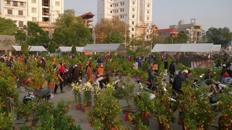 Static-shot-of-a-crowded-street-market-in-Lang-Son-selling-fresh-oranges