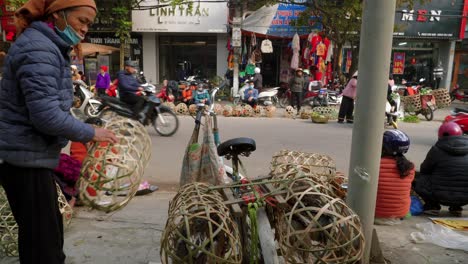 Toma-Estática-De-Una-Mujer-Cargando-Cestas-Tejidas-En-Su-Ciclomotor-En-Lang-Son