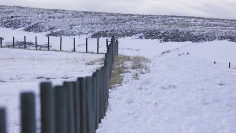 Wood-Fence-Posts-on-Ranch,-Winter-Conditions,-Fence-Line,-4K