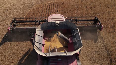 Harvester-combine-grain-tank-from-above,-filling-up-with-soybean-grains-on-harvesting-season