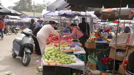 Toma-Estática-De-Mercados-Callejeros-En-Lang-Son-Con-Clientes-Comprando-Productos-Frescos