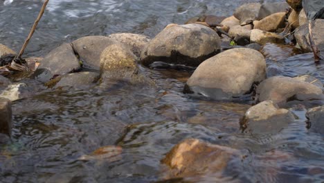 slowmotion-close-up-of-flowing-water-in-river
