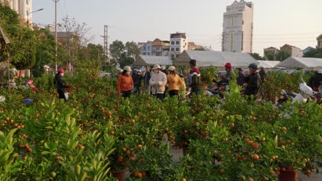 Toma-Estática-De-Un-Concurrido-Mercado-Callejero-Que-Vende-Naranjas-Orgánicas-Frescas-En-Lang-Son