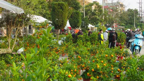 Static-shot-of-consumers-walking-around-the-fresh-oranges-for-sale-in-the-market