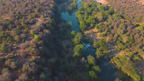 Aufschlussreiche-Drohnenaufnahme-Eines-Fließenden-Flusses-Durch-Dichten-Wald-In-Gwalior,-Indien