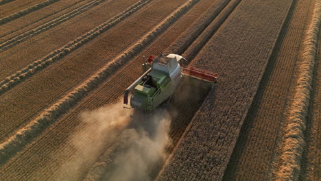 Establecimiento-De-Una-Toma-Cinematográfica-Con-Drones-De-La-Cosechadora-Claas-Hacia-El-Sol-En-La-Hora-Dorada-Del-Atardecer-Con-Mucho-Polvo