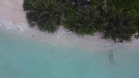 Aerial-drone-bird's-eye-shot-of-the-beach-with-palm-trees---Maldives