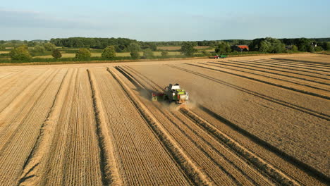 Einrichtung-Einer-Drohnenaufnahme-Eines-Claas-Mähdreschers-Bei-Sonnenuntergang-Zur-Goldenen-Stunde,-Der-Mit-Traktor-Und-Anhänger-In-Ferne-Yorkshire,-Großbritannien,-Arbeitet