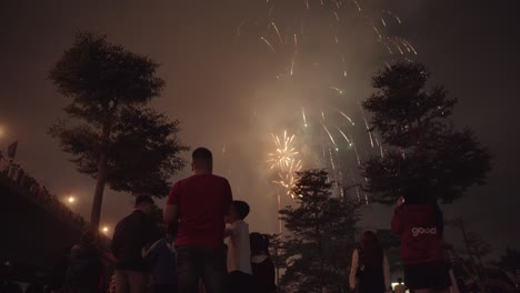 Feliz-Año-Nuevo-Lunar-Celebraciones-De-Fuegos-Artificiales-En-Vietnam