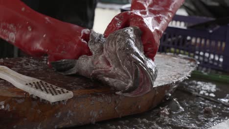 Hombre-De-Mediana-Edad,-Limpiando-Y-Eviscerando-Pescado-De-Mero-Dentro-Del-Mercado-De-La-Ciudad-De-Sir-Selwyn-Selwyn-clarke-Market-En-Victoria-Un-Sábado-Por-La-Mañana