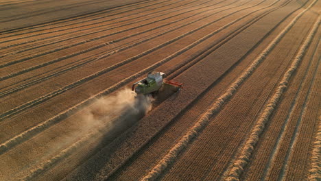 Establecimiento-De-Una-Toma-De-Drones-De-La-Cosechadora-Claas-En-La-Impresionante-Puesta-De-Sol-De-La-Hora-Dorada-Con-La-Recolección-De-Polvo-En-El-Sol,-Yorkshire,-Reino-Unido