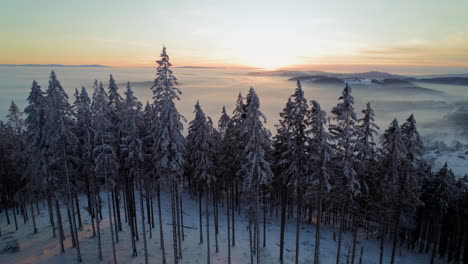 Bäume,-Die-Einen-Hügel-Mit-Frischem-Schnee-Während-Des-Sonnenuntergangs-Bedecken,-Mit-Einem-Nebelverhangenen-Tal-Im-Hintergrund