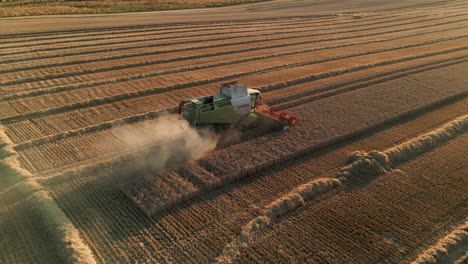 Fallender-Drohnenschuss-Von-Claas-Mähdrescher-Mit-Staub,-Der-Tief-Wird-Und-Bei-Sonnenuntergang-In-Großbritannien-Zur-Goldenen-Stunde-In-Die-Sonne-Kommt