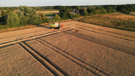 Drohnenaufnahme-Eines-Claas-Mähdreschers,-Der-Sich-Dreht-Und-Eine-Neue-Reihe-Zur-Goldenen-Stunde-Bei-Dämmerungssonnenuntergang-In-Großbritannien-Beginnt