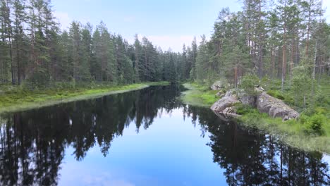 Drone-footage-of-calm-waters-in-forest