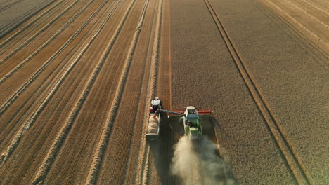 Caída-Estableciendo-Disparo-De-Drone-De-La-Parte-Trasera-De-La-Cosechadora-Claas-Con-El-Brazo-Descargando-Grano-En-El-Tractor-Con-Un-Remolque-Lleno-De-Grano-Y-Luego-Se-Aleja-En-La-Hora-Dorada-Del-Atardecer-Reino-Unido