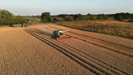 Establishing-Drone-Shot-Rotating-around-Claas-Combine-Harvester-with-Arm-Out-and-Tractor-with-Trailer-coming-to-take-the-Grain-at-Golden-Hour-UK