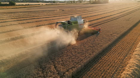 Toma-De-Drones-Cinematográficos-Bajos-De-La-Cosechadora-Claas-Hacia-El-Sol-En-La-Puesta-De-Sol-De-La-Hora-Dorada