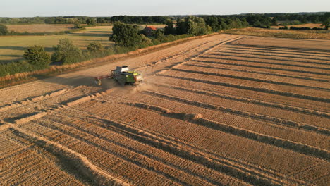 Disparo-De-Drones-De-La-Cosechadora-Claas-Girando-Al-Final-Del-Campo-Y-Conduciendo-Por-El-Campo-Con-El-Tractor-Siguiendo-A-La-Hora-Dorada-Del-Reino-Unido