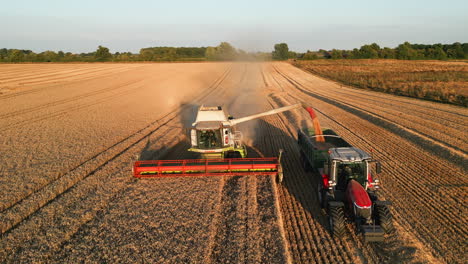 Front-Auf-Drohnenaufnahme-Von-Claas-Mähdrescher,-Der-Getreide-Erntet-Und-Entleert,-Zu-Rotem-Traktor-Mit-Grünem-Anhänger-Zur-Goldenen-Stunde-Mit-Langen-Schatten