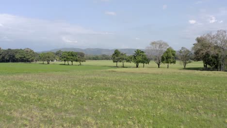 Green-field-landscape-with-trees