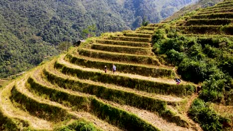 Couple-Walking-Along-Terraced-Hilltop-With-Guide-In-Rural-Sapa,-Vietnam