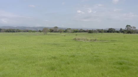 Landscape-view-of-green-field-with-trees