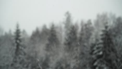 Schnee-Fällt-Mit-Verschwommenem-Hintergrund---Statisch
