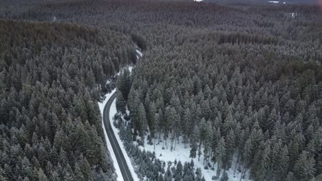 drone-footage,-driving-a-car-on-a-road-through-a-dense-spruce-forest,-around-a-corner