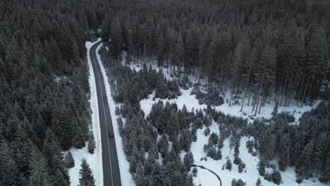 drone-footage,-driving-a-car-on-a-road-through-a-dense-spruce-forest